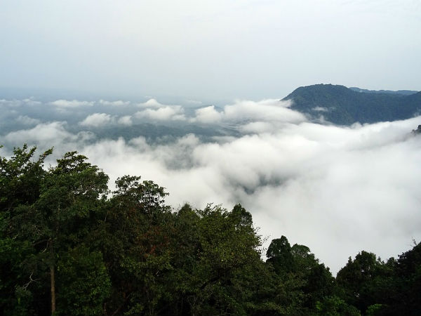 agumbe
