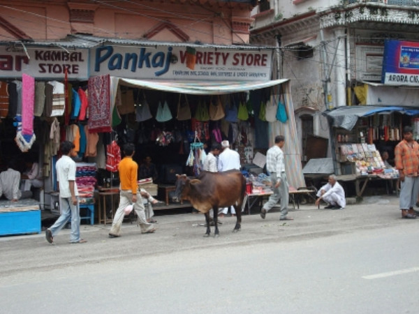 ఎలా చేరుకోవాలి