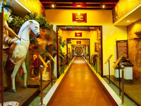 మ్యూజియం ప్రత్యేకత