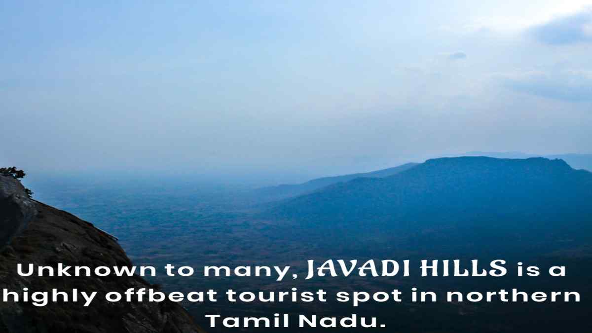 javadihills1