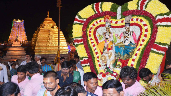 srishailadevasthanam, మ‌ల్లికార్జున స్వామి వారి దేవ‌స్థానం ఎక్క‌డుంది