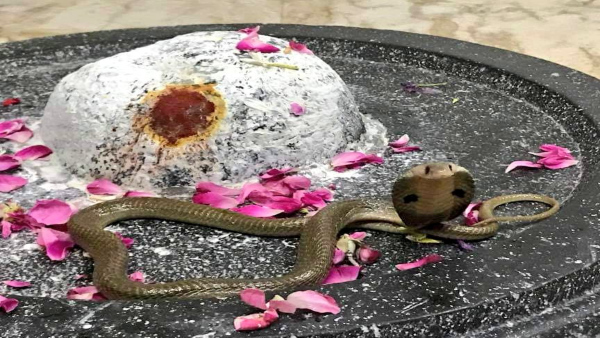 siddeshwaratemple , telangana