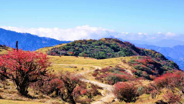 singalilanationalparktrekking1