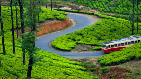 munnar2