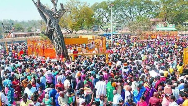 medaramjatar , Warangal 