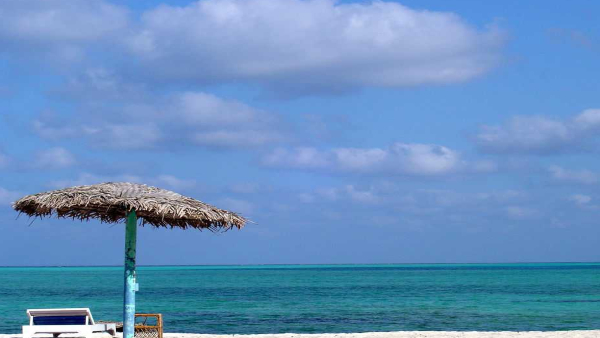 Let s visit Lakshadweep which is famous as snake free place