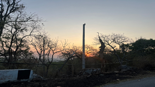 nallamalaforest sunset