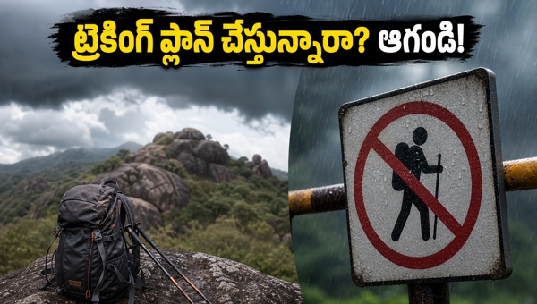 Bangalore Trekking Restrictions: Best Safe Weekend Getaways and Travel Updates for May 2026 Bangalore Trekking Restrictions: Best Safe Weekend Getaways and Travel Updates for May 2026