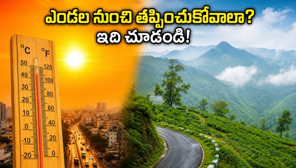Hill Stations to Escape Summer Heat: Best Weekend Getaways in Araku, Lambasingi, and Horsley Hills for 2026 Hill Stations to Escape Summer Heat: Best Weekend Getaways in Araku, Lambasingi, and Horsley Hills for 2026
