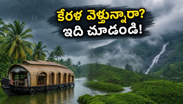 Kerala Rains Travel Alert: Essential Safety Tips for Tourists Visiting Munnar, Alleppey, and Wayanad in May 2026