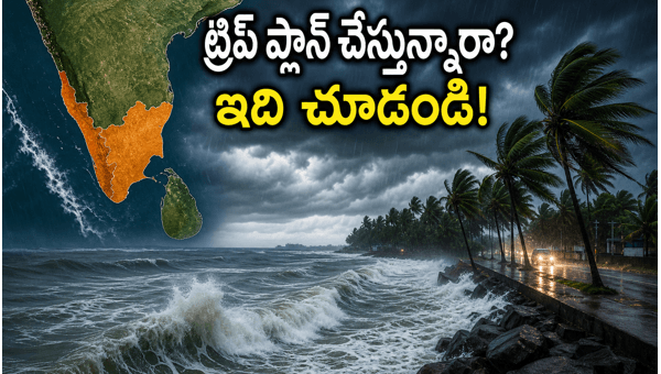 Kerala Monsoon Travel Tips: Safety Alerts and Best Alternative Destinations for 2026 Trip Planning Kerala Monsoon Travel Tips: Safety Alerts and Best Alternative Destinations for 2026 Trip Planning