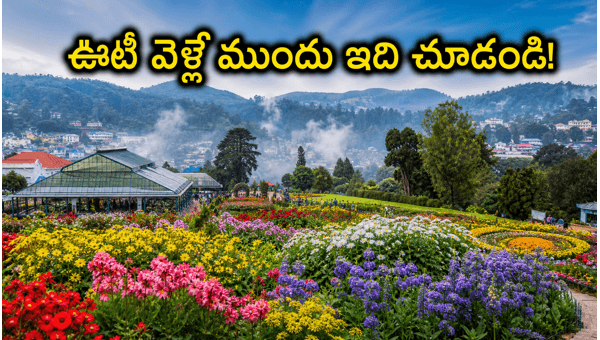 Ooty Flower Show 2026: Essential E-pass rules, traffic updates, and budget travel tips for your trip to the Nilgiris
