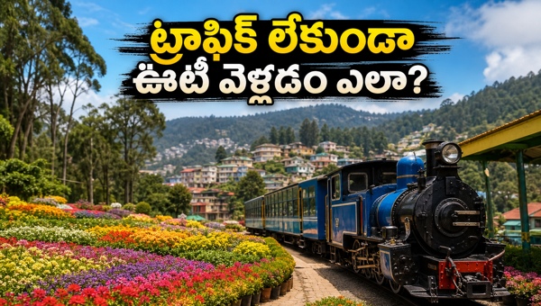 Ooty Flower Show 2026: Complete Travel Guide, Route Map, and Essential Tips for Tourists to Avoid Traffic and Enjoy the Summer Fest.