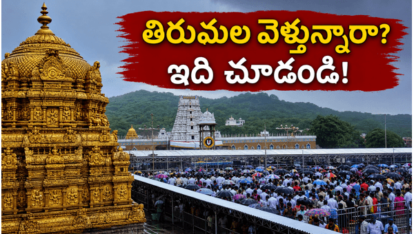 Tirumala Darshan Waiting Time: TTD Crowd Alert, Weather Updates, and Essential Travel Tips for May 2026 Pilgrims Tirumala Darshan Waiting Time: TTD Crowd Alert, Weather Updates, and Essential Travel Tips for May 2026 Pilgrims