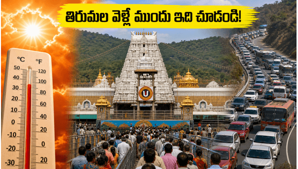 Tirumala Darshan Waiting Time Today: Check TTD Crowd Status and Travel Tips for May 20, 2026