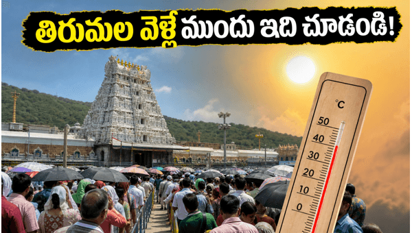 Tirumala Weekend Darshan Rush: Essential TTD Updates and Travel Tips for May 2026