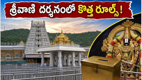 TTD Srivani Trust Darshan Changes 2026: New Booking Rules, Daily Quota Updates, and Essential Travel Tips for Tirumala Pilgrims TTD Srivani Trust Darshan Changes 2026: New Booking Rules, Daily Quota Updates, and Essential Travel Tips for Tirumala Pilgrims