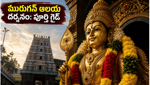 Vaishaka Visakham 2026: Murugan Temple Darshan Timings, Special Bus Services, and Travel Guidelines for Devotees
