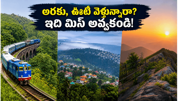 Araku, Ooty, and Nandi Hills Weekend Trips: Essential Travel Guide for 2026 Heatwave Escape and Entry Rules