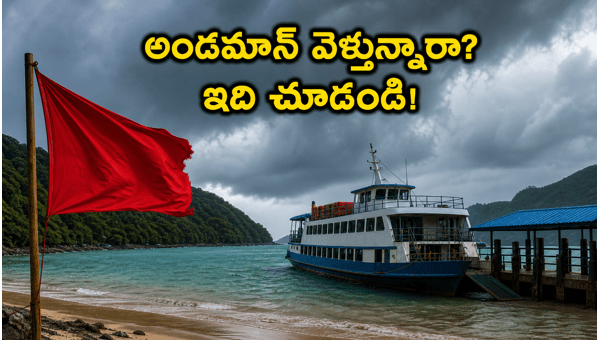 Andaman Rain Alert 2026: Ferry Disruptions, Safety Tips, and Travel Updates for Tourists Andaman Rain Alert 2026: Ferry Disruptions, Safety Tips, and Travel Updates for Tourists