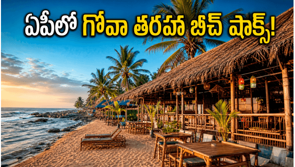 Andhra Pradesh Beach Shacks: Vizag and Suryalanka to Get Goa-Style Tourism Experience in 2026 Andhra Pradesh Beach Shacks: Vizag and Suryalanka to Get Goa-Style Tourism Experience in 2026