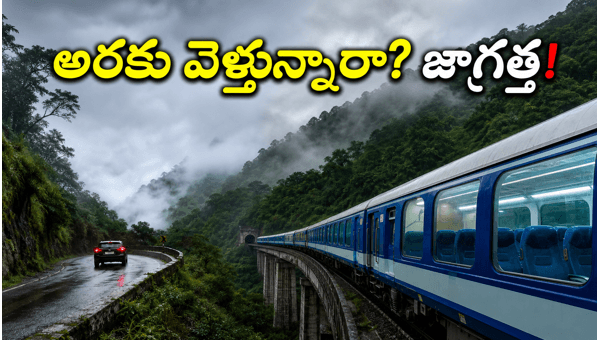 Araku and Lambasingi Travel Alert: Weather Updates, Safety Tips, and Road Conditions for June 2026 Araku and Lambasingi Travel Alert: Weather Updates, Safety Tips, and Road Conditions for June 2026