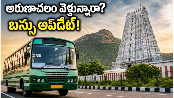 Arunachalam Special Buses from Chennai: TNSTC Weekend Travel Update and Weather Alert 2026