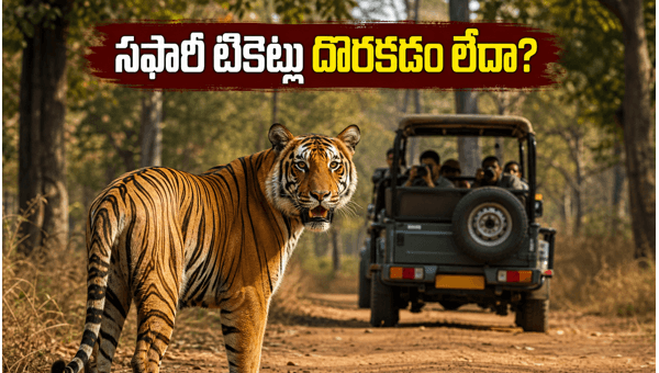 Bandipur and Nagarhole Jungle Safari Guide 2026: How to Book Tickets, Plan Your Trip, and Beat the Rush