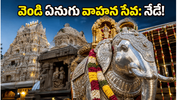 Chidambaram Silver Elephant Vahanam 2026: Festival Updates, Traffic Rules, and Travel Guide Chidambaram Silver Elephant Vahanam 2026: Festival Updates, Traffic Rules, and Travel Guide