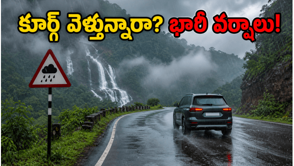 Coorg Monsoon Travel Alert 2026: Essential Safety Tips for Your Weekend Trip to Kodagu