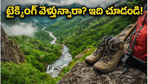 Kudremukh and Netravati Trekking 2026: Essential Guide to Online Booking, Forest Rules, and Safety Tips for Western Ghats Trekkers Kudremukh and Netravati Trekking 2026: Essential Guide to Online Booking, Forest Rules, and Safety Tips for Western Ghats Trekkers