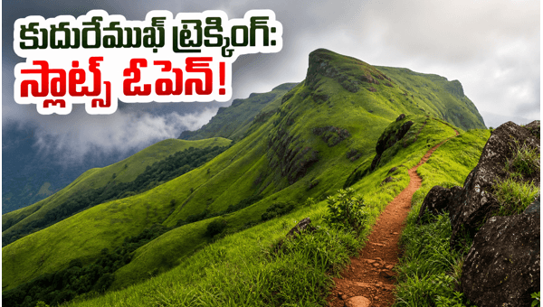 Kudremukh Trekking 2026: Complete Guide to Booking Online Slots for Monsoon Season in Western Ghats Kudremukh Trekking 2026: Complete Guide to Booking Online Slots for Monsoon Season in Western Ghats