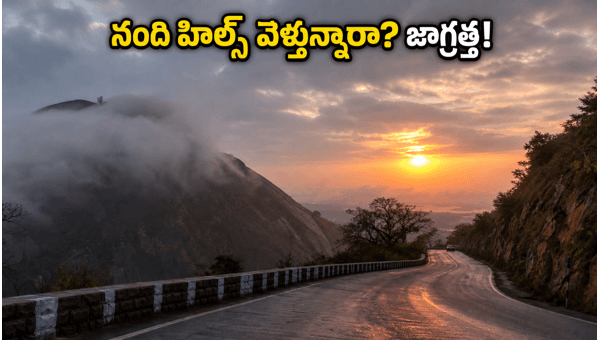Nandi Hills Monsoon Trip 2026: Essential Weather Alerts and Travel Tips for Tourists Nandi Hills Monsoon Trip 2026: Essential Weather Alerts and Travel Tips for Tourists
