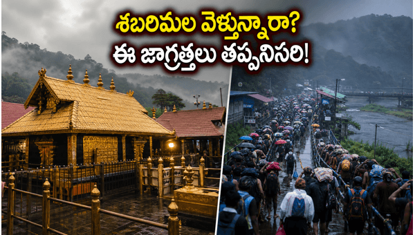 Sabarimala Mithuna Masa Puja 2026: Darshan Timings, Travel Tips, and Weather Alerts Sabarimala Mithuna Masa Puja 2026: Darshan Timings, Travel Tips, and Weather Alerts