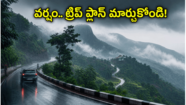 South India Hill Station Rain Alert 2026: Travel Tips for Araku and Chikmagalur Weekend Trips South India Hill Station Rain Alert 2026: Travel Tips for Araku and Chikmagalur Weekend Trips