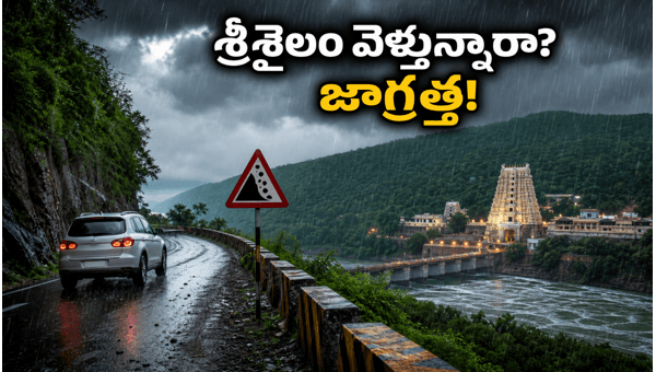 Srisailam Travel Alert: Rain Forecast, Ghat Road Safety, and Sunday Crowd Management Tips 2026 Srisailam Travel Alert: Rain Forecast, Ghat Road Safety, and Sunday Crowd Management Tips 2026