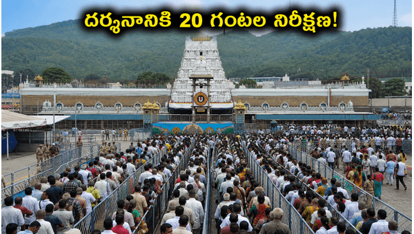 Tirumala Crowd Update June 14 2026: TTD Darshan Waiting Time and SSD Token Status Today Tirumala Crowd Update June 14 2026: TTD Darshan Waiting Time and SSD Token Status Today