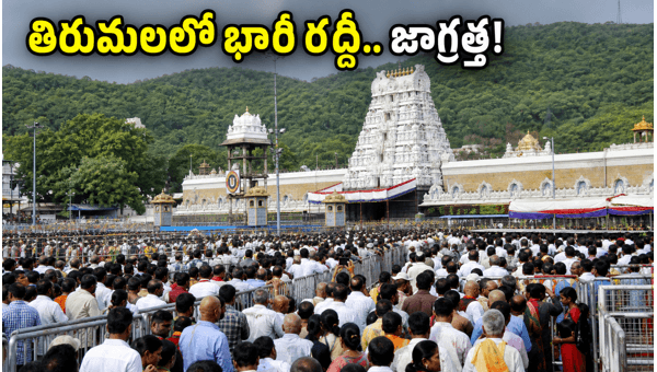 Tirumala Crowd Update June 2026: Check Waiting Times for Sarvadarshanam and TTD Travel Tips