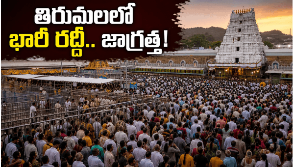 Tirumala Crowd Update June 2026: Sarva Ekadashi Darshan Waiting Times and Travel Tips