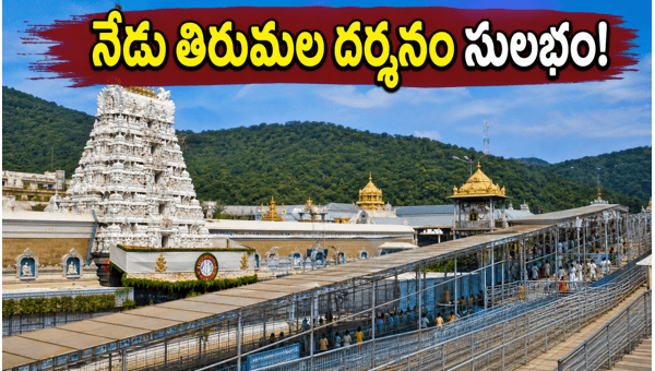 Tirumala Darshan Updates June 2026: Crowd Status, SSD Tokens, and Weather Alert for Devotees Tirumala Darshan Updates June 2026: Crowd Status, SSD Tokens, and Weather Alert for Devotees