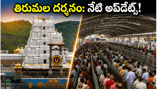 Tirumala Darshan Updates June 2026: Current Waiting Time, TTD Rush, and Weekend Travel Tips Tirumala Darshan Updates June 2026: Current Waiting Time, TTD Rush, and Weekend Travel Tips