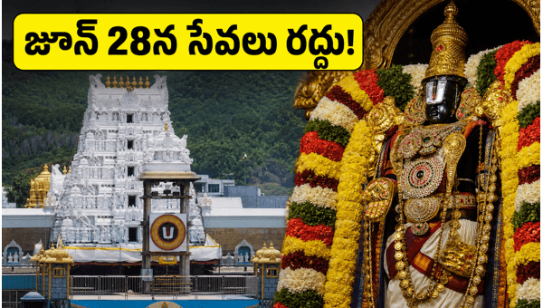 Tirumala Jyeshthabhishekam 2026: TTD Service Cancellations and Darshan Guide for Devotees