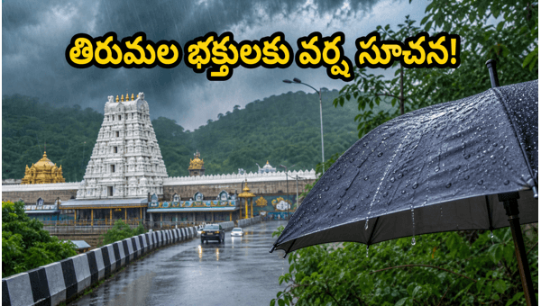 Tirumala Rains Alert 2026: Essential Safety Tips and Travel Guidelines for Srivari Pilgrims