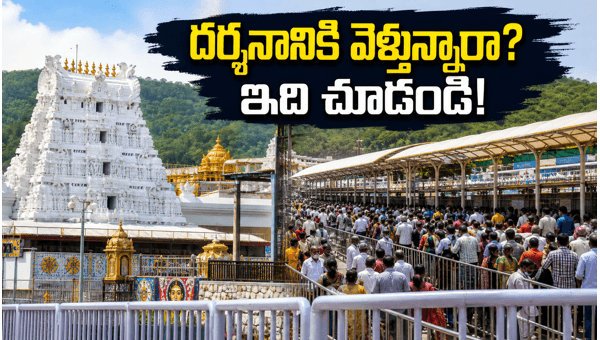 Tirumala Srivari Darshan Update June 2026: Current Waiting Times, SSD Token Status, and Travel Tips for Pilgrims Tirumala Srivari Darshan Update June 2026: Current Waiting Times, SSD Token Status, and Travel Tips for Pilgrims