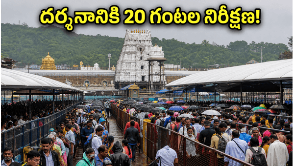 Tirumala TTD Darshan Update June 2026: Saturday Crowd and Waiting Time Details Tirumala TTD Darshan Update June 2026: Saturday Crowd and Waiting Time Details