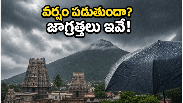 Tiruvannamalai Girivalam Travel Alert: Rain Forecast, Darshan Updates, and Safety Tips for June 2026