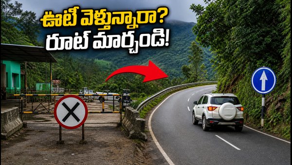 Bangalore to Ooty Travel Alert 2026: Kalhatti Ghat Road Restrictions and Best Alternative Routes Bangalore to Ooty Travel Alert 2026: Kalhatti Ghat Road Restrictions and Best Alternative Routes