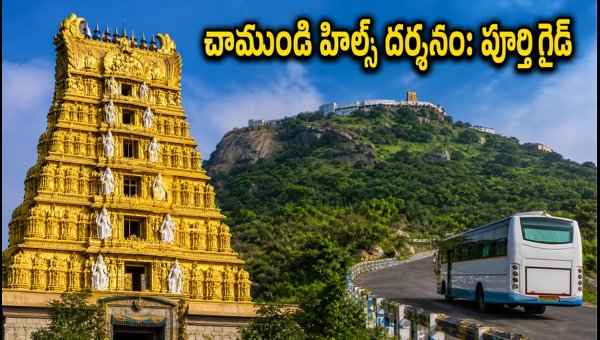 Chamundi Hills Ashada Fridays 2026: Darshan Timings, Traffic Rules, and Parking Guide for Devotees Chamundi Hills Ashada Fridays 2026: Darshan Timings, Traffic Rules, and Parking Guide for Devotees