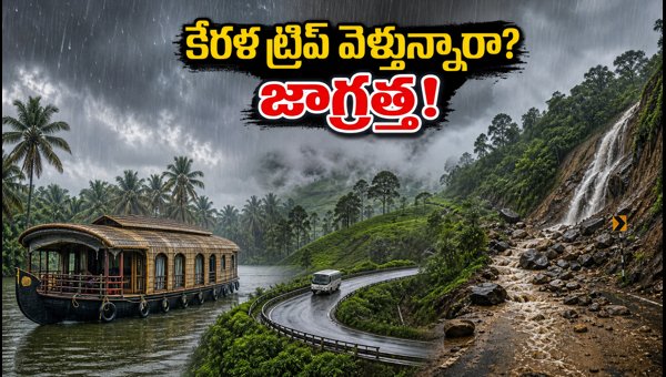 Kerala Travel Advisory: Essential Safety Tips for Alappuzha and Munnar During Heavy Rains 2026 Kerala Travel Advisory: Essential Safety Tips for Alappuzha and Munnar During Heavy Rains 2026