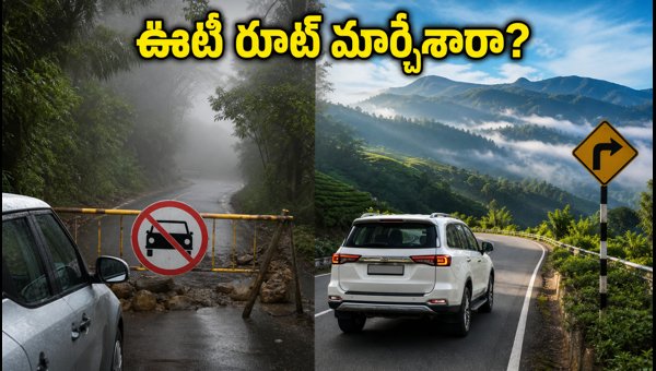Ooty Travel Alert 2026: Kalhatti Ghat Road Restrictions and Best Monsoon Routes from Bangalore